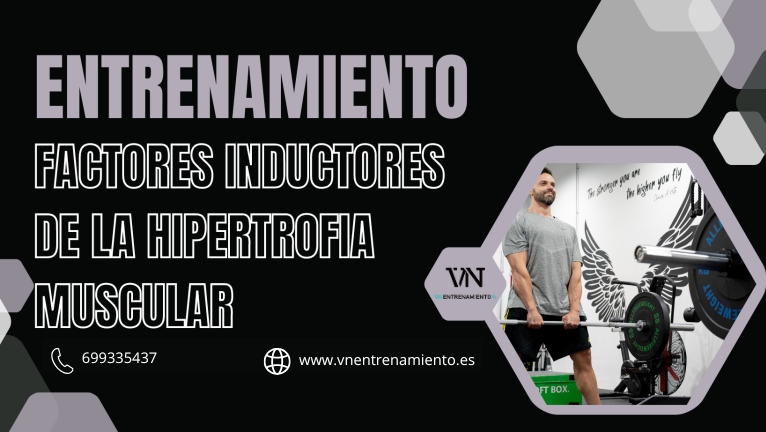 Factores inductores de la hipertrofia muscular